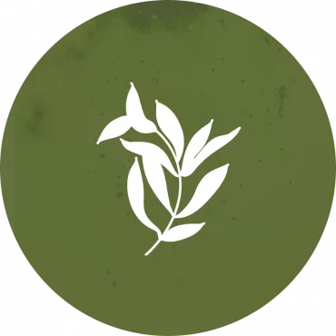 Plantas medicinales