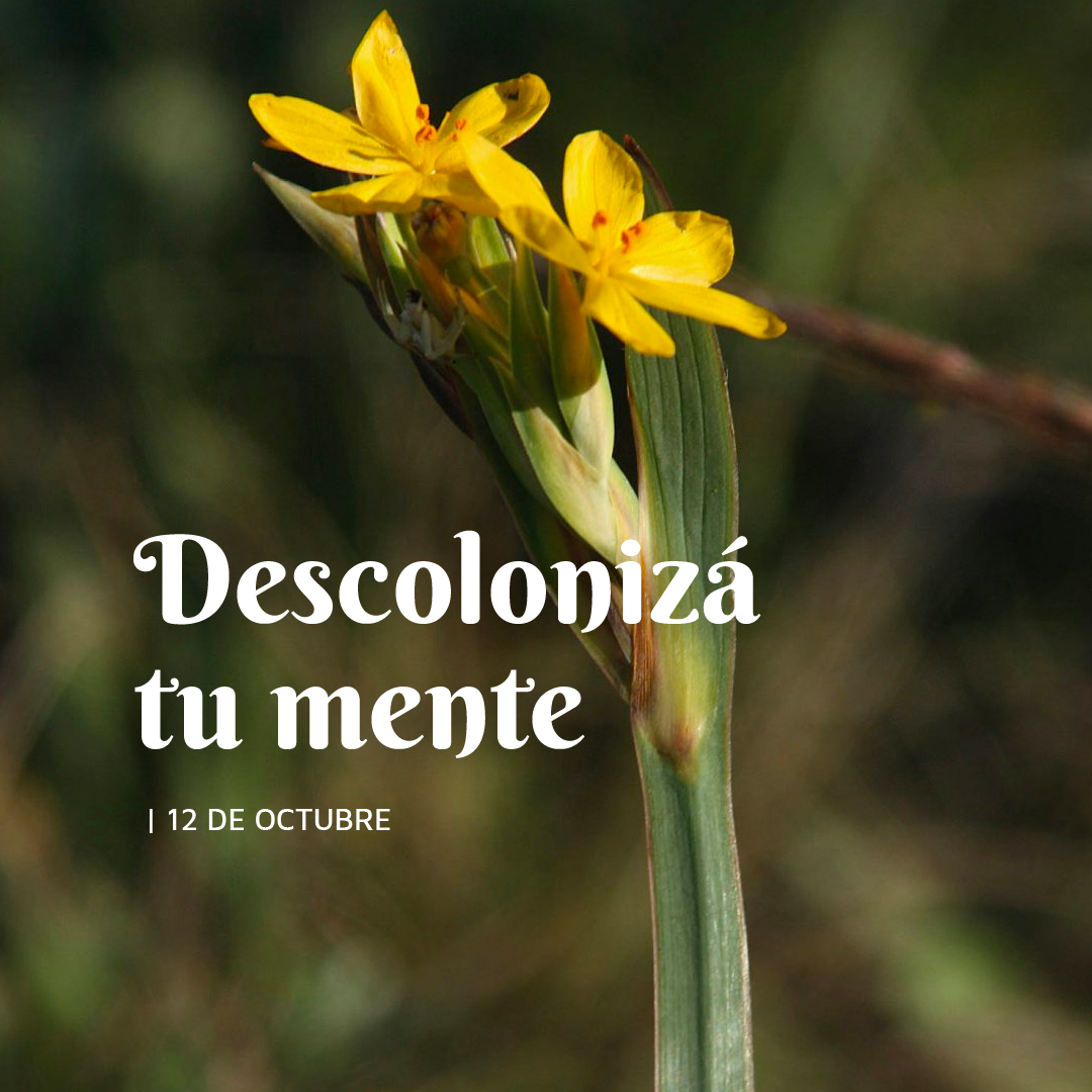 Astrología Nivel IIII